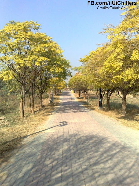 islamic university library path