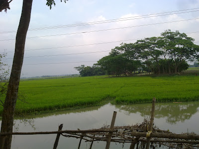 green village in bangladesh