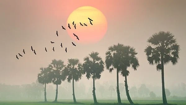শীত ছবি