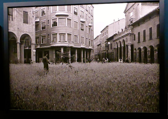 Bologna-Fotografata