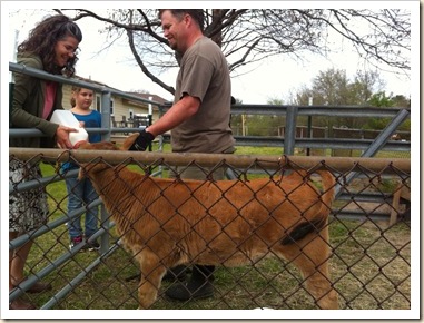 me feeding calf