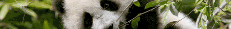 HISCEC invites you to visit the San Diego Zoo!