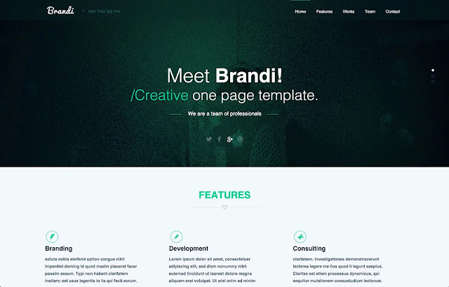 Free Flat Style Single Page Website Design Template PSD