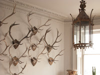 Deer Antler Living Room Decor