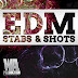 WA Production What About EDM Stabs & Shots WAV