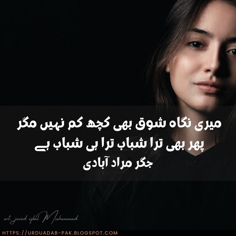 husn-shayari-urdu-husn-shayari-ghalib-khubsurti-ki-tareef-shayari-in-urdu-tareef-shayari-for beautiful-girl-in-urdu-husn-shayari-urdu-in-hindi-khubsurti-ki-tareef-shayari-in-urdu-text-shayari- on-husn-o- (16)