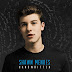 Lirik Shawn Mendes - Stitches dan Terjemahan 