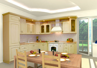 Kitchen cabinet designs