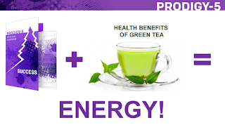 prodigy-5 gren tea