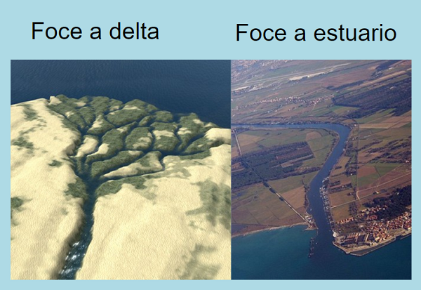 Foce a delta