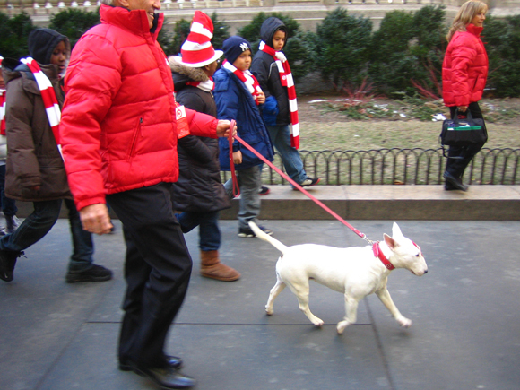 target dog bullseye. target dog bullseye.