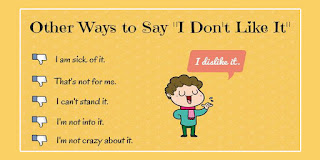 Other Ways To Say " I don't Like It "