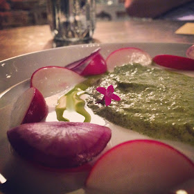 Radish, Tarragon, Oyster