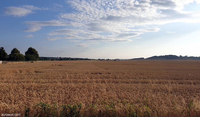 Campo de cereal en Alemania