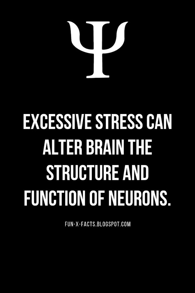 Psychological Fact: Excessive stress can alter brain the structure and function of neurons.