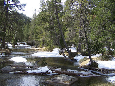 Brook in Aigüestortes National Park in Catalonia