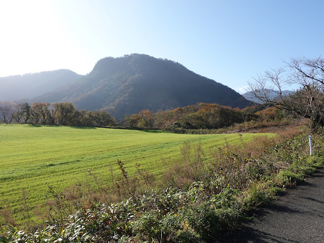 鳥取県西伯郡大山町羽田井　香取の牧草地