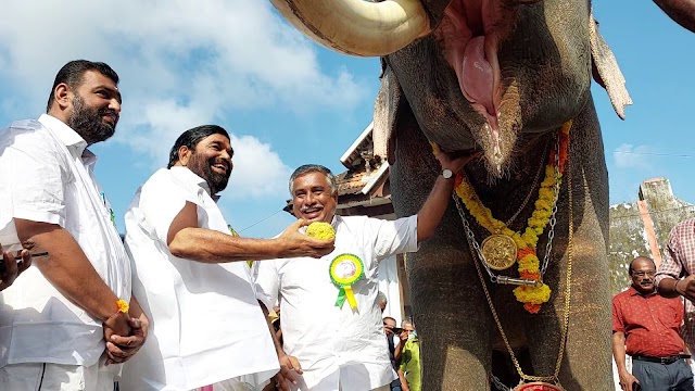 കിടങ്ങൂര്‍ ശ്രീ സുബ്രഹ്‌മണ്യസ്വാമി ക്ഷേത്രത്തില്‍ ഗജപൂജയും ആനയൂട്ടും