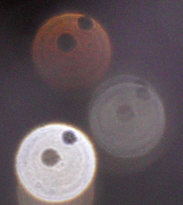 strange pair of orb holes