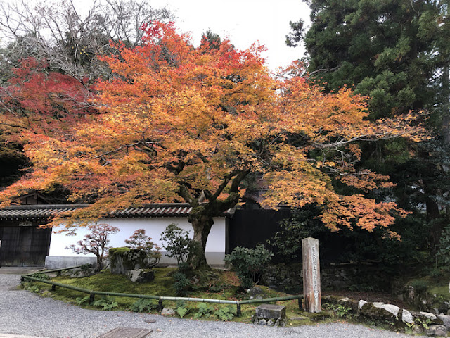 南禅寺の紅葉