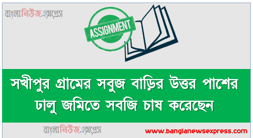 সখীপুর গ্রামের সবুজ বাড়ির উত্তর পাশের ঢালু জমিতে সবজি চাষ করেছেন। দক্ষিণ পাশের জমিতে একটি পেঁপে বাগান করেছেন। এছাড়া তিনি বাড়ির সামনে একটি বীজতলা তৈরি করেছেন।