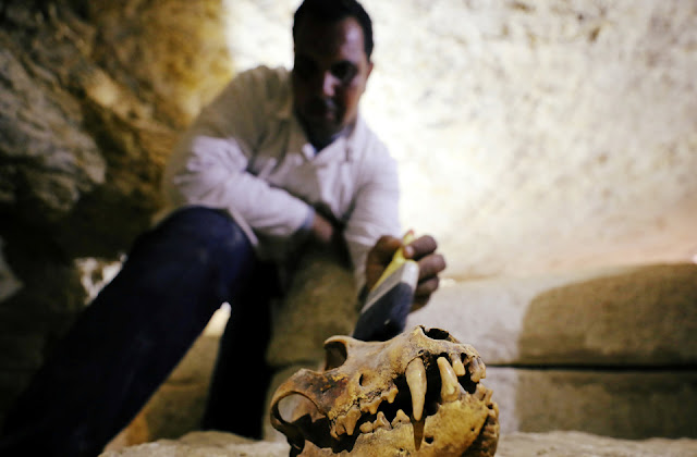 26th Dynasty cemetery uncovered in Egypt's Minya