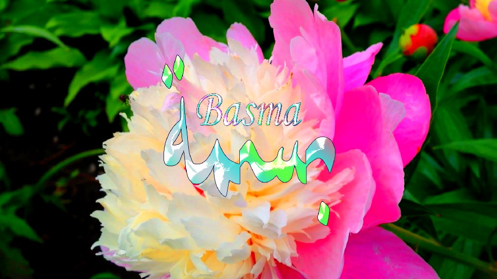 معنى اسم, بسمة, وصفات حاملة, هذا الاسم, Basma,