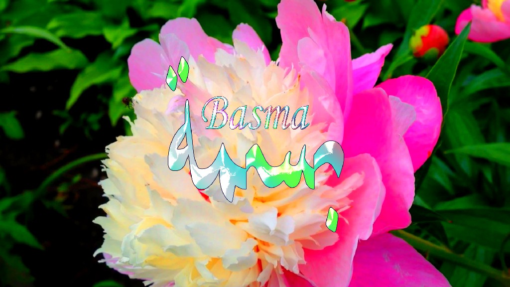 معنى اسم, بسمة, وصفات حاملة, هذا الاسم, Basma,