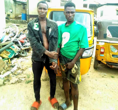 Police arrest Interstate Tricycle Stealing Suspects in Enugu