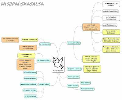 Vocabulario