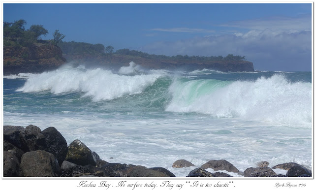 Keokea Bay:  No surfers today. They say: It is too chaotic. 