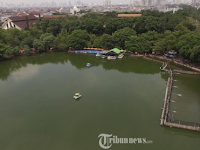 Ular Sepanjang Empat Meter Ditemukan di Danau Sunter, Jelang Lomba Renang Sandiaga dan Menteri Susi