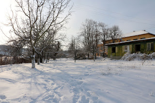 Snow on the front lawn