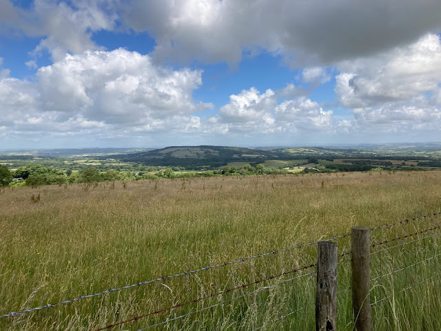 Dorset views