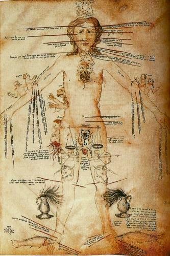 Comparision Of Body Parts And System To Your Automobile