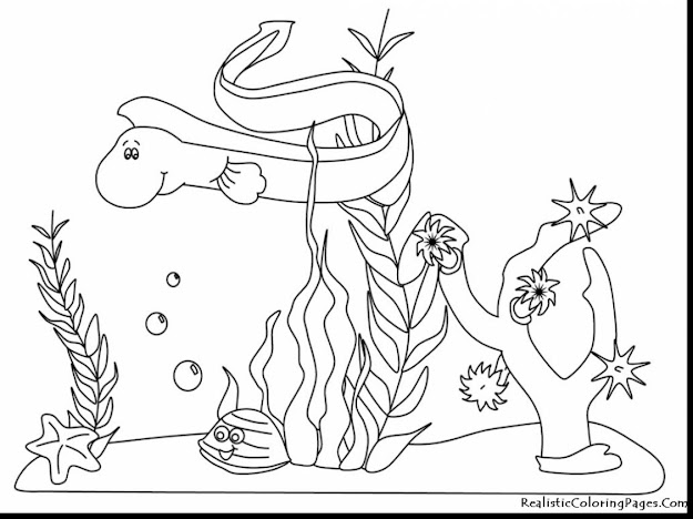 Terrific Printable Ocean Coloring Pages With Ocean Coloring Pages And Ocean Coloring  Pages To Print