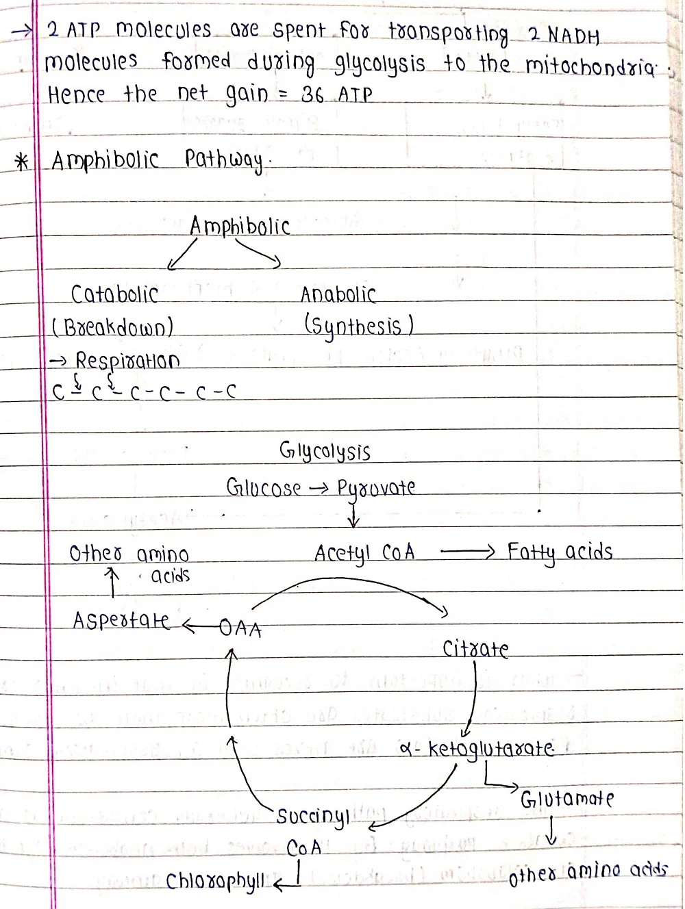 Respiration in Plants - Biology Short Notes 📚