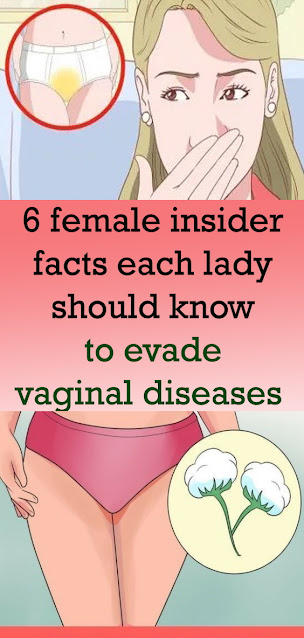 6 female insider facts each lady should know to evade vaginal diseases