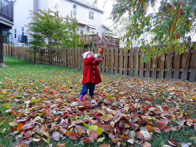 Playing in the Leaves