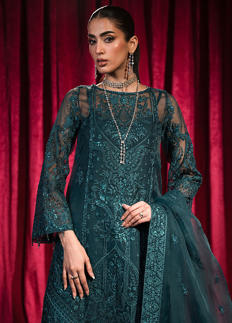 New Pakistani Wedding Dresses | Roshnai by Shazme Wedding Collection