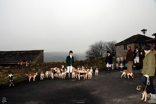  H&CVB and Pennine Foxhounds - Boxing Day 2019