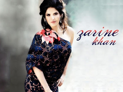  beautiful south Actress  Zarine Khan HD   wallpaper |   Zarine Khan Hot   HD  wallpapers 