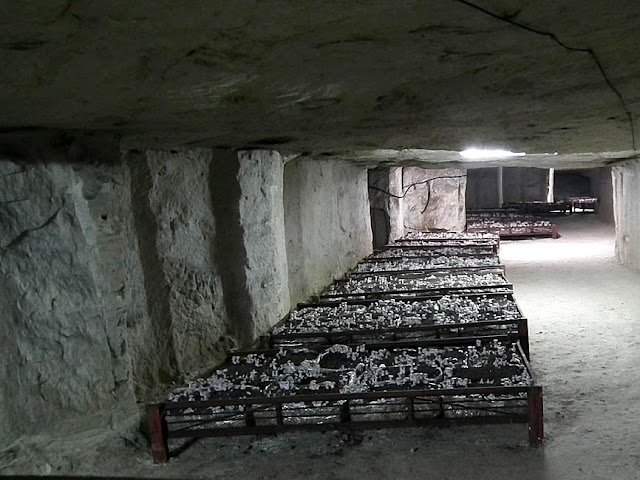 Underground mushroom cultivation gallery, Loir et Cher, France. Photo by Loire Valley Time Travel.