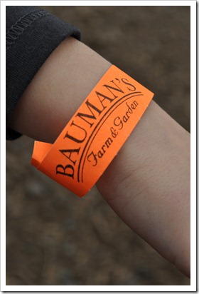 pumpkin patch 001