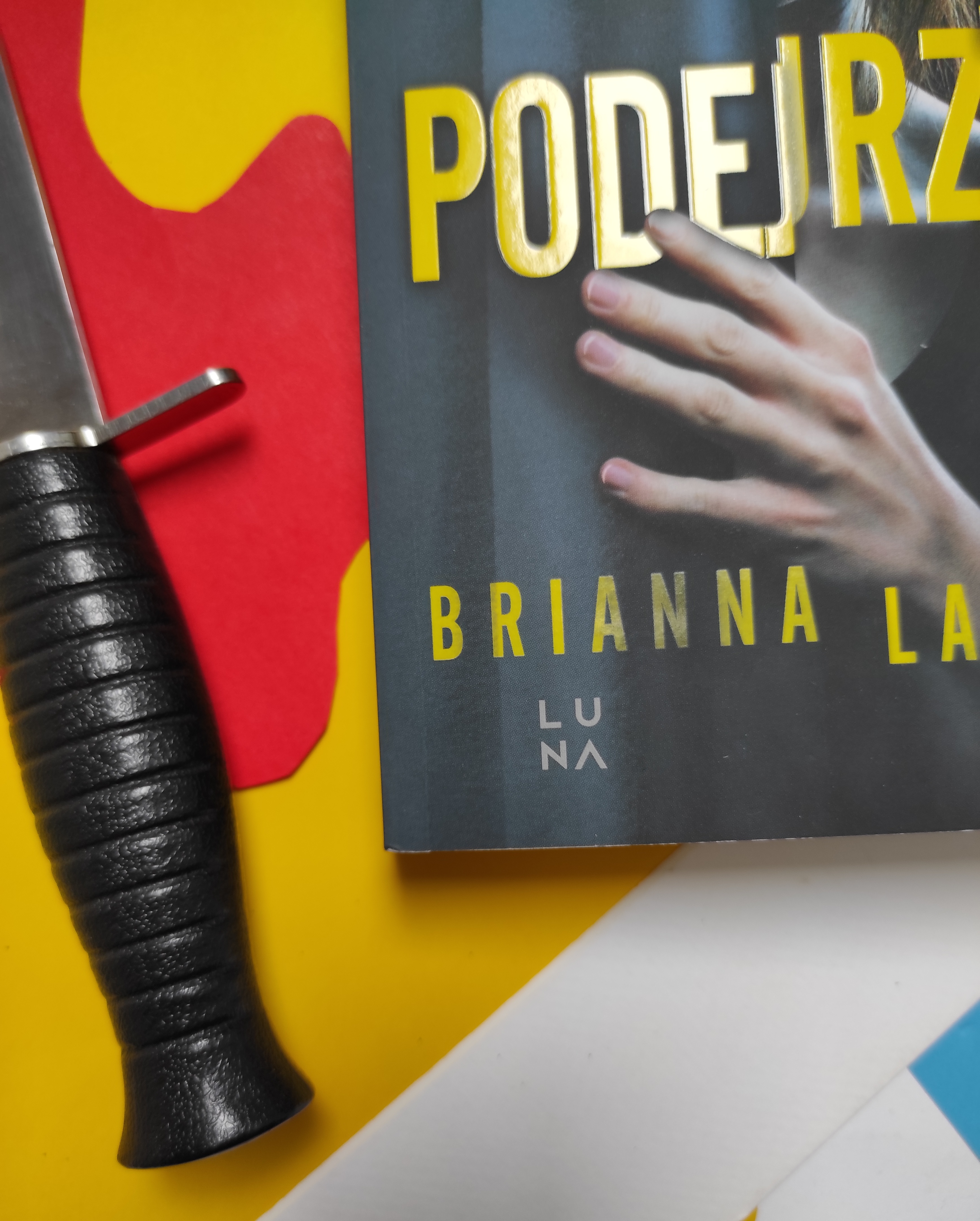 "Podejrzana" Brianna Labuskes - recenzja