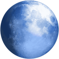 Pale Moon Browser