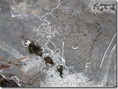 liquid ice I
