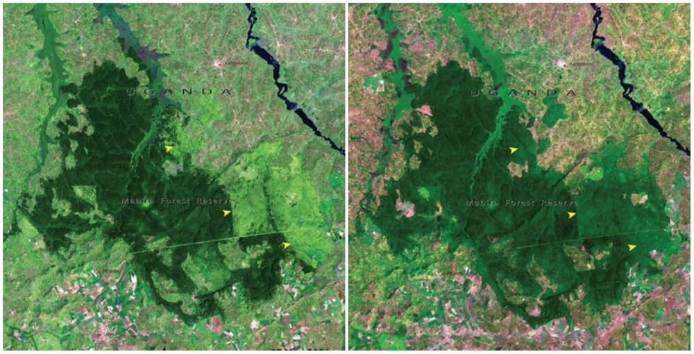 16 Then And Now Photos By NASA That Depict Incredible Changes In The World