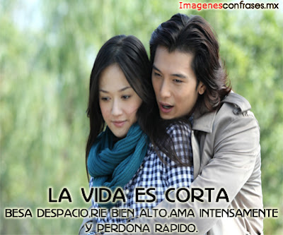 imagenes de amor con frases lindas de amor