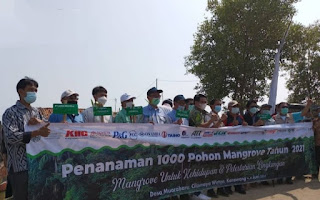 Hari Lingkungan Hidup Sedunia di Rayakan Dengan Menanam Seribu Pohon Mangrove oleh DLHK Karawang di Desa Muarabaru